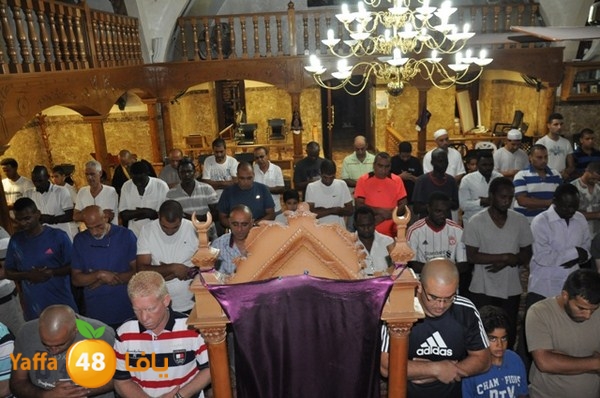 trawe7 mahmodiya 713 (3).JPG